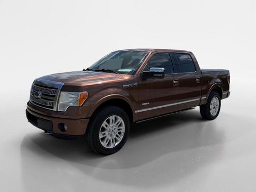 Golden Bronze Metallic 2012 Ford F-150 Platinum