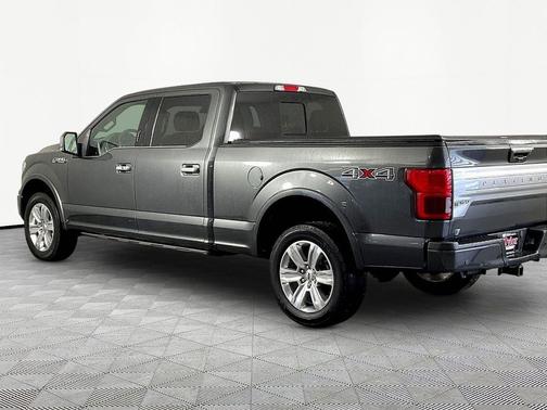 Magnetic Metallic 2019 Ford F-150 Platinum