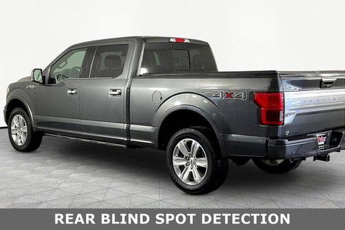 Magnetic Metallic 2019 Ford F-150 Platinum