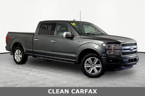 Magnetic Metallic 2019 Ford F-150 Platinum