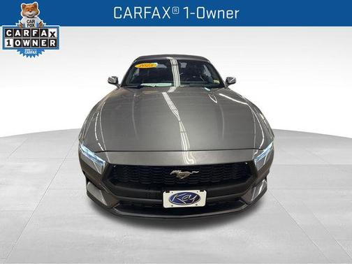 Gray Metallic 2025 Ford Mustang EcoBoost Premium