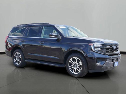 Black Metallic 2025 Ford Expedition Active