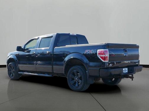 2013 Ford F-150 FX4