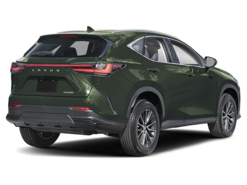 2025 Lexus NX 250 Premium