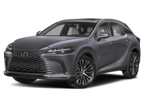 Nebula Gray Pearl 2023 Lexus RX 350 Premium
