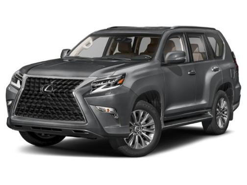 Nebula Gray Pearl 2020 Lexus GX 460 Luxury