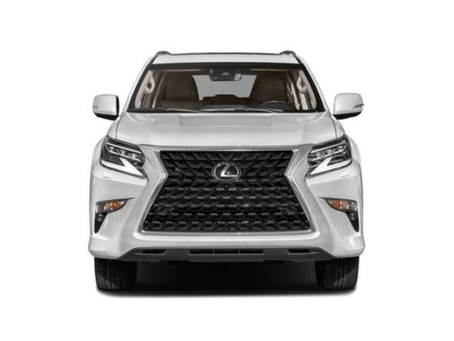 Nebula Gray Pearl 2020 Lexus GX 460 Luxury