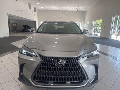 2025 Lexus NX 250 Base
