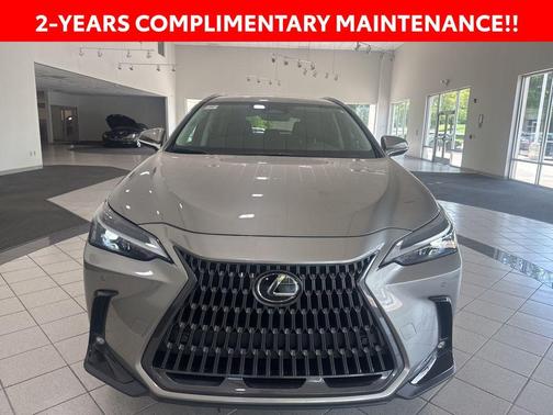 2025 Lexus NX 250 Base