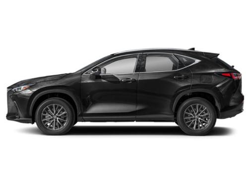 2024 Lexus NX 250 Base