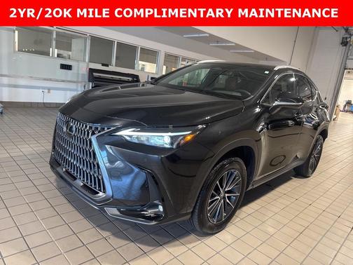 Caviar 2024 Lexus NX 250 Premium