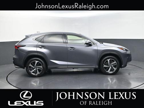 Nebula Gray Pearl 2020 Lexus NX 300 Base