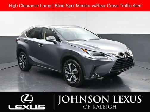 Nebula Gray Pearl 2020 Lexus NX 300 Base