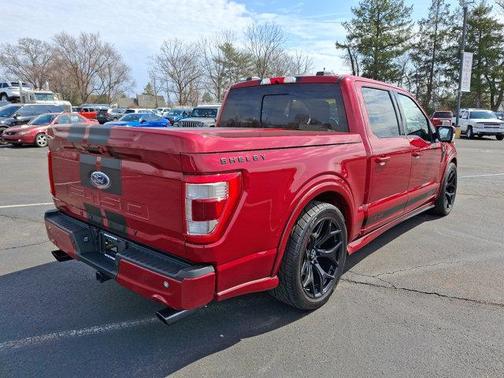 2021 Ford F-150 SNAKE