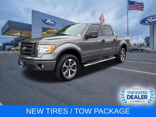 Sterling Gray Metallic 2010 Ford F-150 FX4