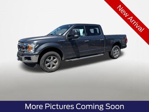 Magnetic Metallic 2018 Ford F-150 XLT