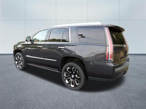 2019 Cadillac Escalade Platinum