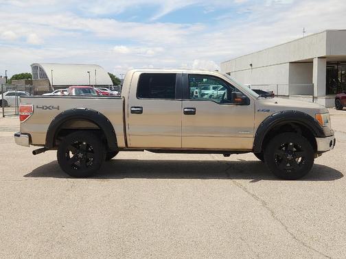Tan 2014 Ford F-150