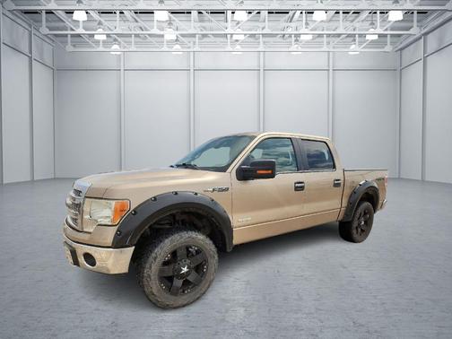 Tan 2014 Ford F-150