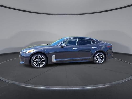 Panthera Metal 2019 Kia Stinger Base