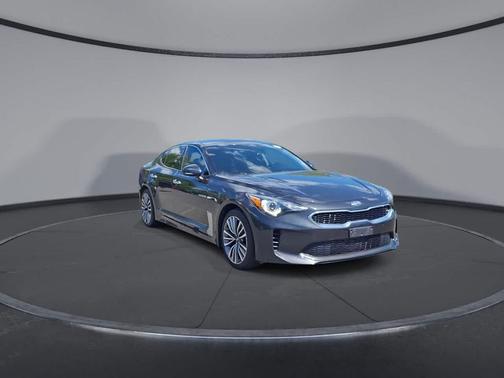 Panthera Metal 2019 Kia Stinger Base