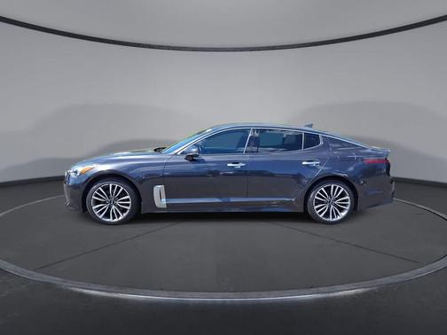 Panthera Metal 2019 Kia Stinger Base