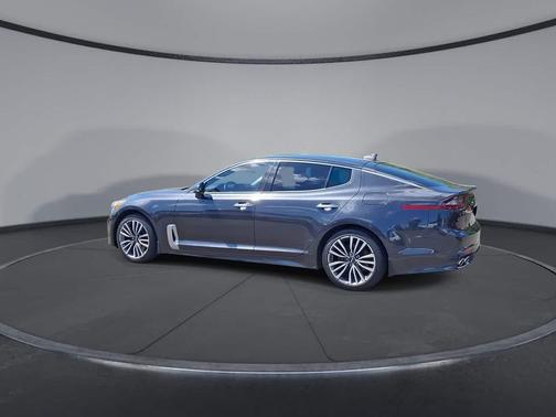Panthera Metal 2019 Kia Stinger Base