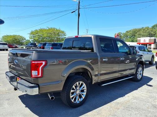 Caribou Metallic 2017 Ford F-150 XLT
