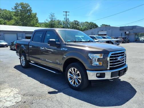 Caribou Metallic 2017 Ford F-150 XLT