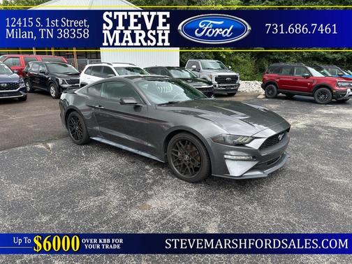 Magnetic Metallic 2020 Ford Mustang EcoBoost