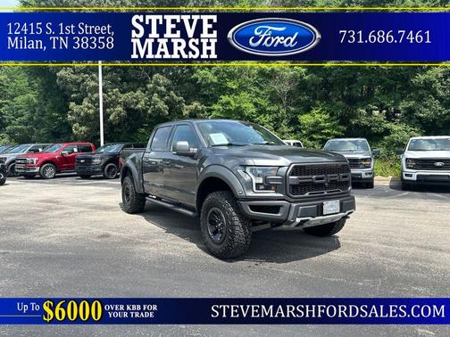 Magnetic 2018 Ford F-150 Raptor