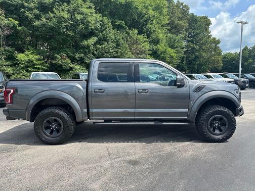 Magnetic 2018 Ford F-150 Raptor