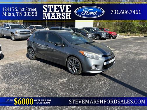Graphite Steel 2015 Kia Forte SX