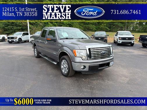 Sterling Gray Metallic 2012 Ford F-150 XLT