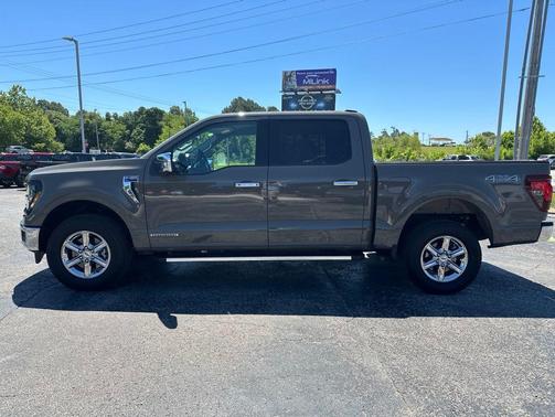 Marsh Gray 2025 Ford F-150 XLT