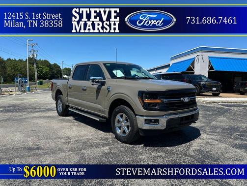 Marsh Gray 2025 Ford F-150 XLT