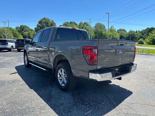 Marsh Gray 2025 Ford F-150 XLT