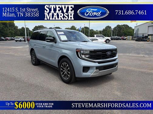 Gray Metallic 2025 Ford Expedition Platinum