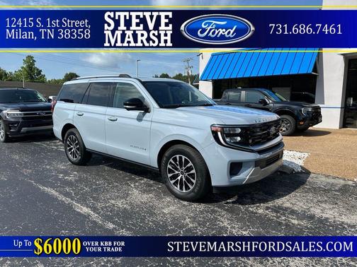 Gray Metallic 2025 Ford Expedition Platinum