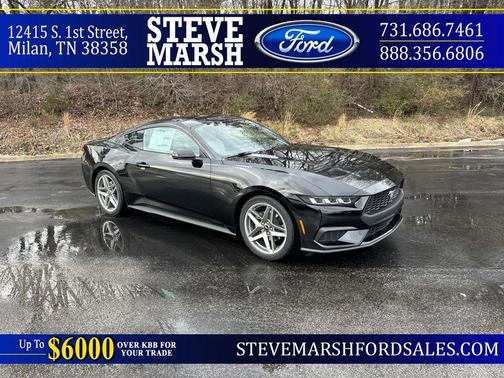 Shadow Black 2025 Ford Mustang EcoBoost Premium Coupe