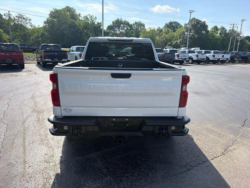 Summit White 2019 Chevrolet Silverado 1500 WT