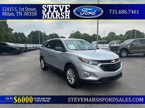Silver Ice Metallic 2019 Chevrolet Equinox LS