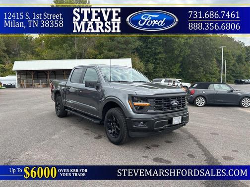 2025 Ford F-150 STX
