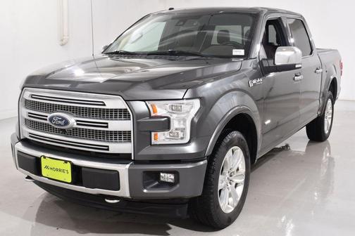 Magnetic 2017 Ford F-150 Platinum