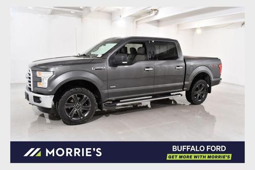 Magnetic Metallic 2015 Ford F-150 XLT