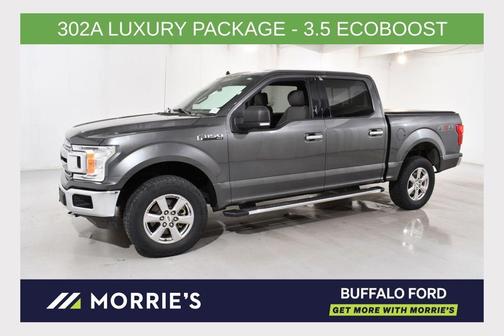 Magnetic 2019 Ford F-150 XLT
