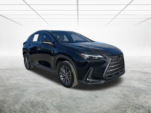 2025 Lexus NX 250 Premium