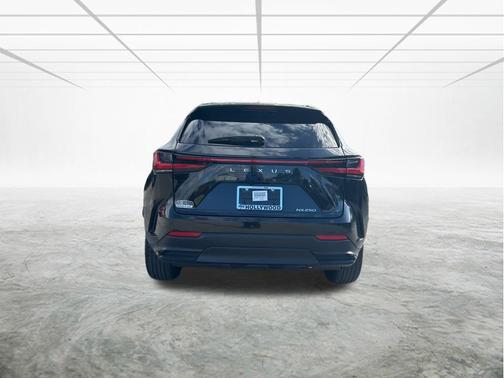 2025 Lexus NX 250 Premium