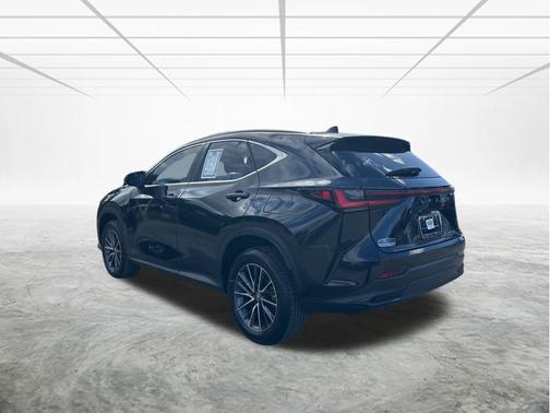 2025 Lexus NX 250 Premium