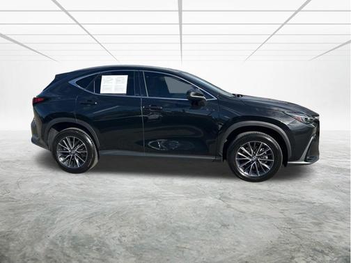 2025 Lexus NX 250 Premium